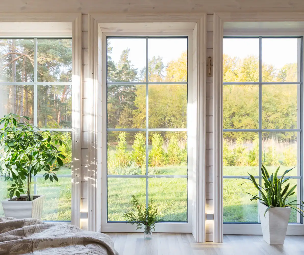 Modern ablak kilátással és növényekkel